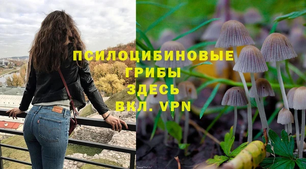 прущие грибы Алексин