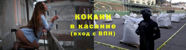 прущие грибы Алексин